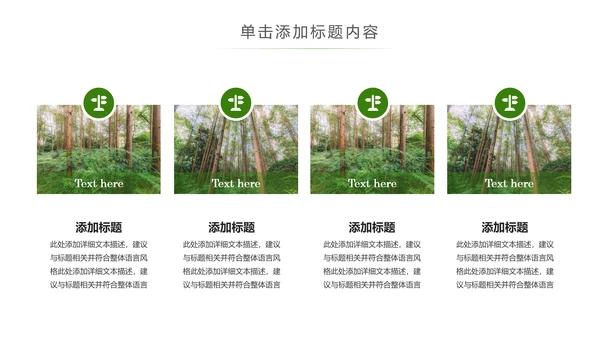原始森林湿地植树造林森林环保PPT模板