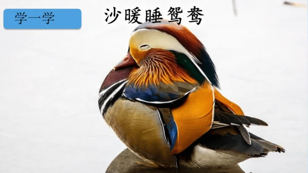 1.古诗三首 绝句   (教学课件)