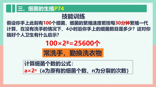 5.4.2  细菌  课件-人教版生物八年级上册(共39张PPT)
