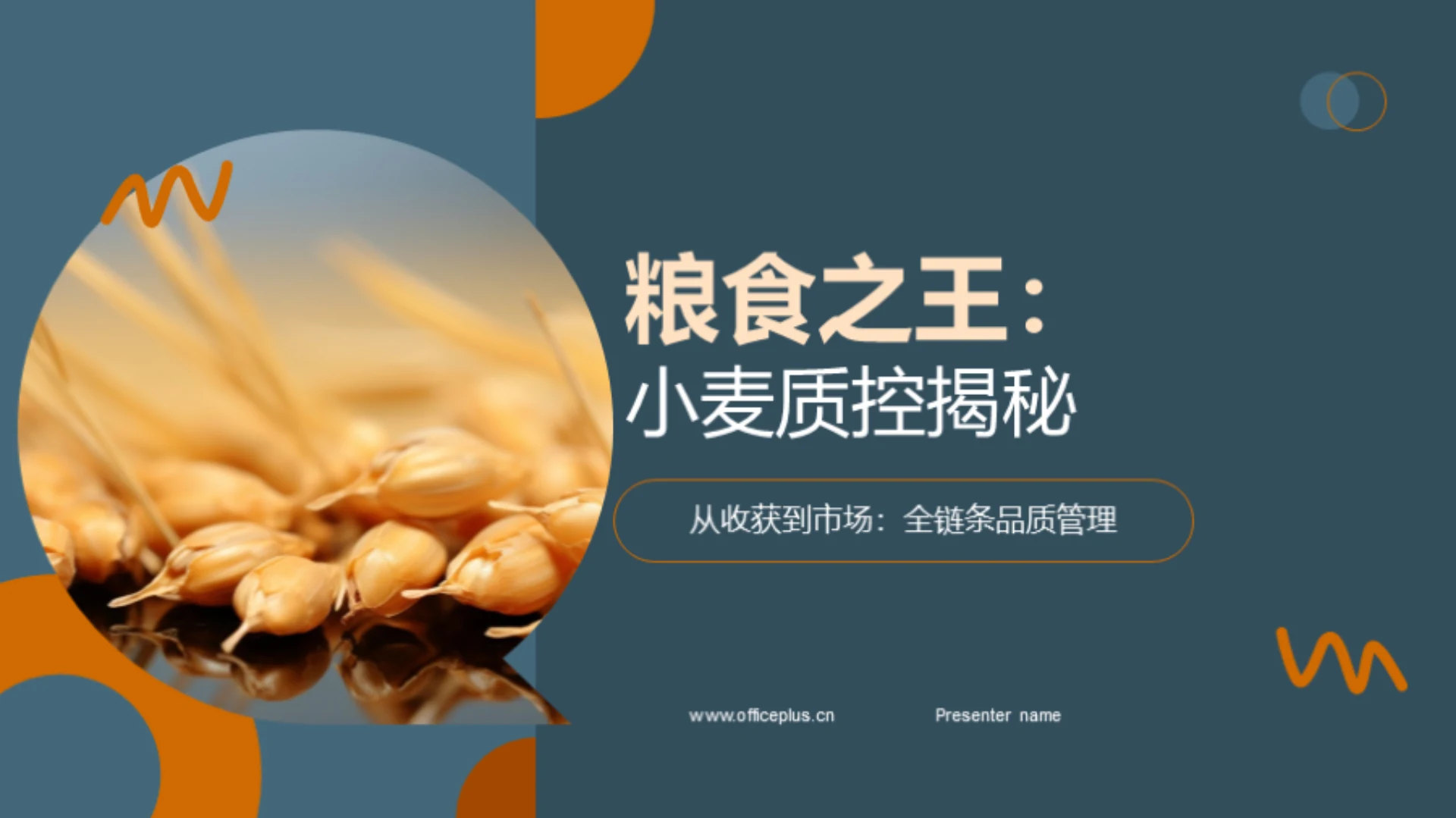 粮食之王:小麦质控揭秘