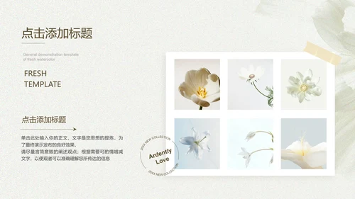 浅色小清新通用品牌手册演示PPT模板