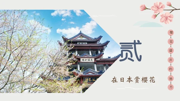 岛国之旅浪漫樱花季通用PPT模板