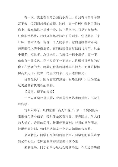景物描写作文500字.docx
