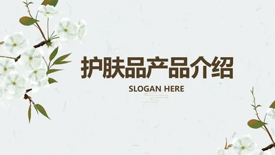 简约护肤品产品介绍工作总结动态PPT模板