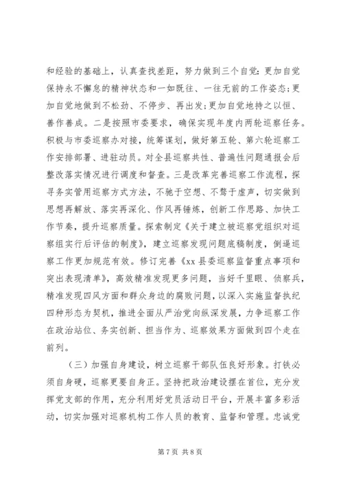 县巡察工作调研报告 (2).docx