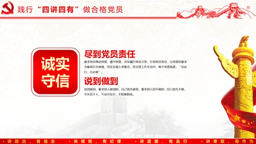 践行四讲四有，争做合格党员