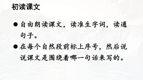 第21课 《大自然的声音》  课件