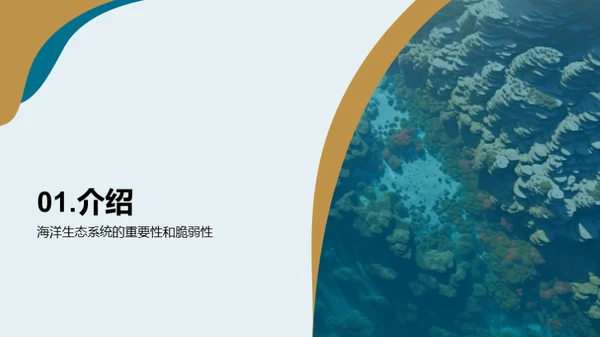 海洋卫士：水族馆与企业