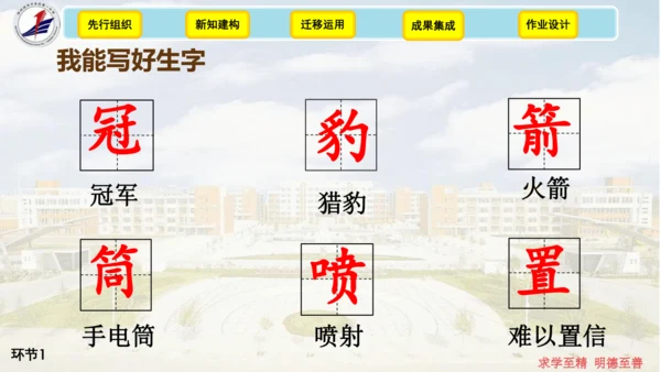 7《什么比猎豹的速度更快》（课件）