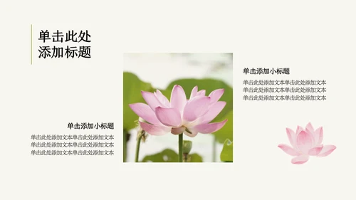 粉绿色荷花小清新风活动PPT模板