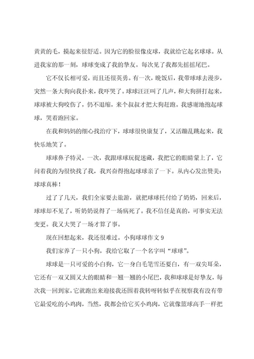 小狗球球作文