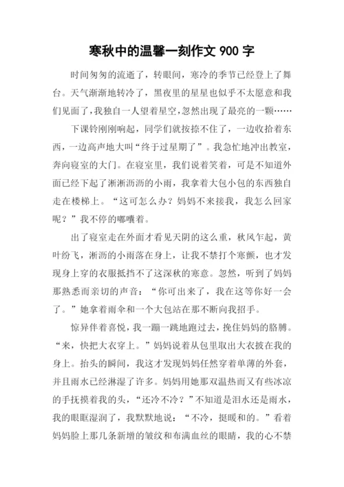 寒秋中的温馨一刻作文900字.docx