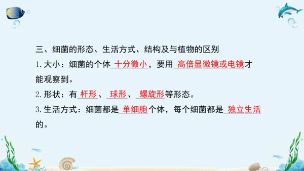 人教版八年级生物上册5.4《细菌和真菌》复习课件（含31张ppt）