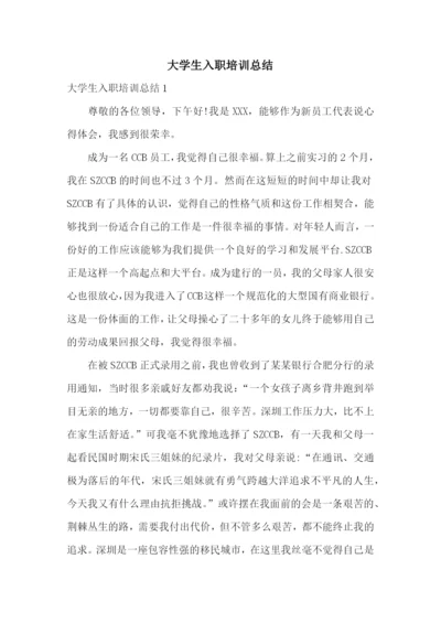 大学生入职培训总结.docx