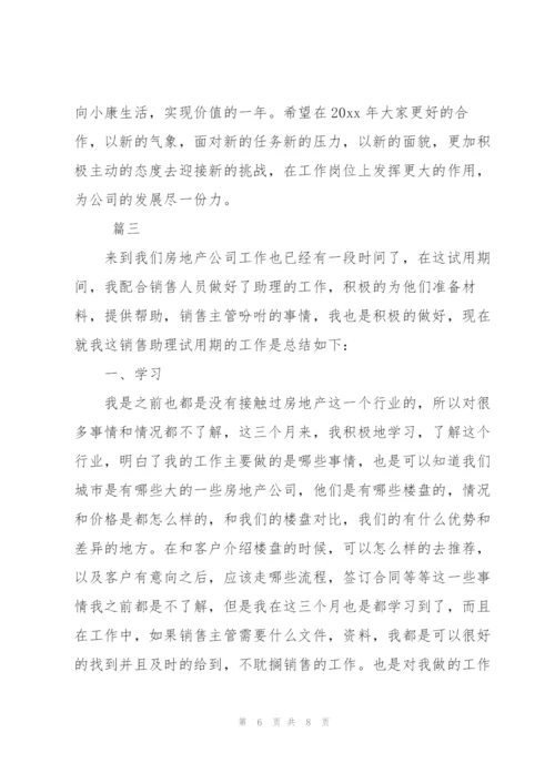 销售助理工作总结三篇.docx