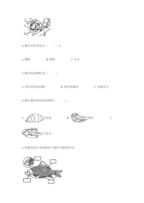 教科版一年级下册科学期末测试卷及完整答案（网校专用）.docx