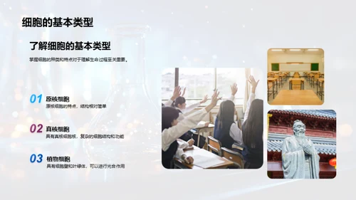 细胞学解析