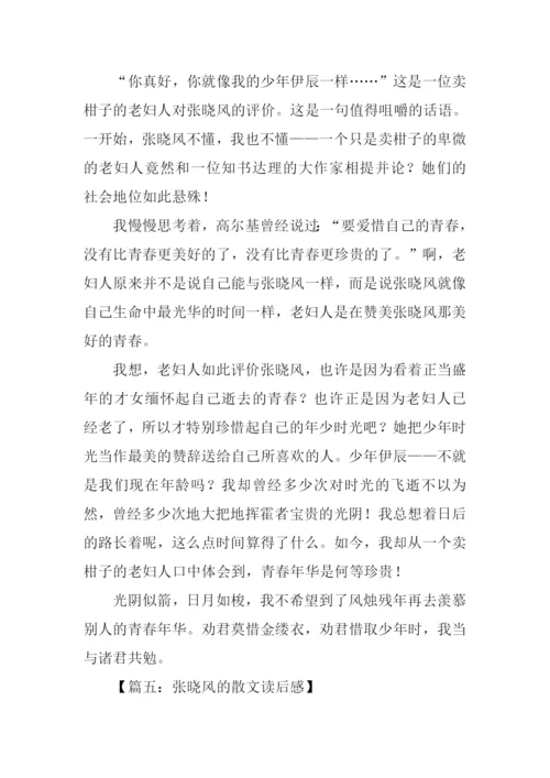 张晓风的散文读后感500字.docx