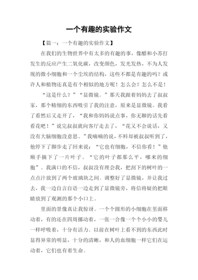 一个有趣的实验作文.docx