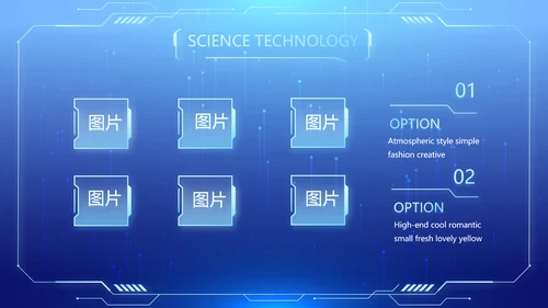 蓝色医疗科技信息化建设工作总结PPT