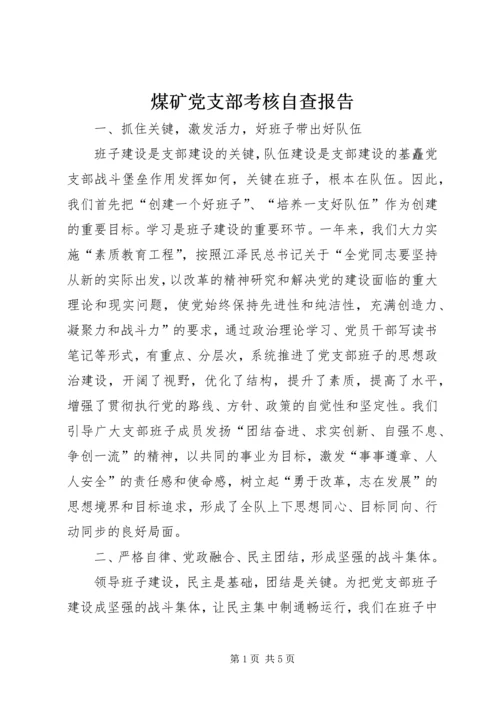 煤矿党支部考核自查报告.docx
