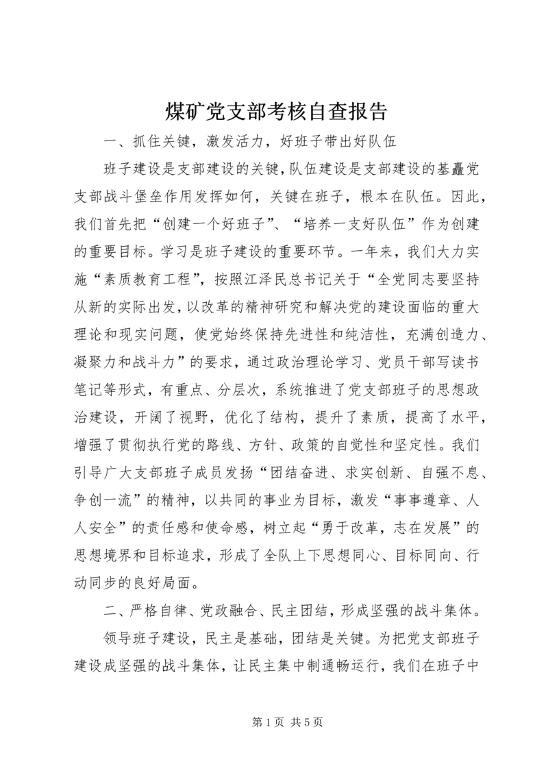 煤矿党支部考核自查报告.docx