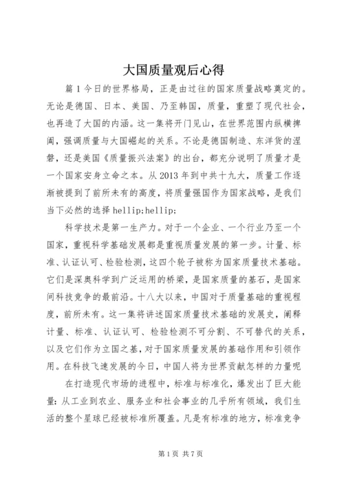 大国质量观后心得.docx