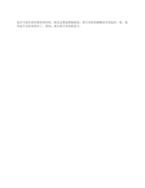 面对挫折作文800字.docx