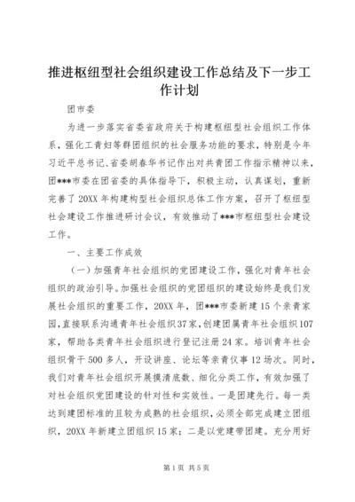 推进枢纽型社会组织建设工作总结及下一步工作计划 (2).docx