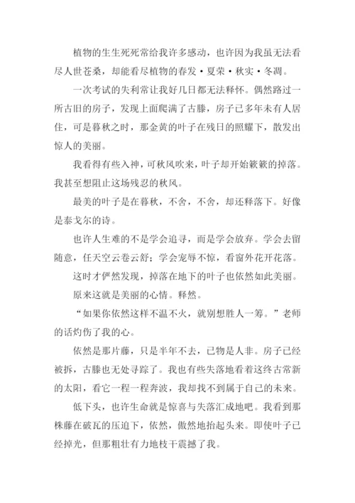 关于释怀的作文.docx