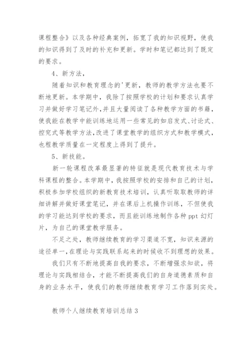 教师个人继续教育培训总结.docx