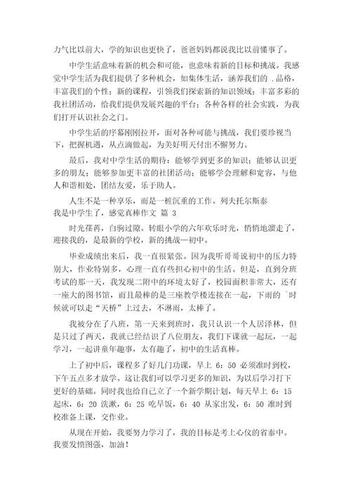 我是中学生了,感觉真棒作文