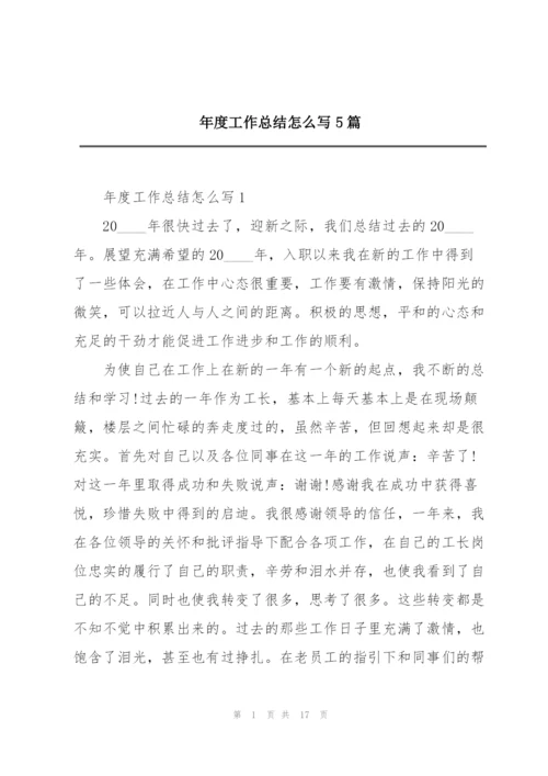 年度工作总结怎么写5篇.docx