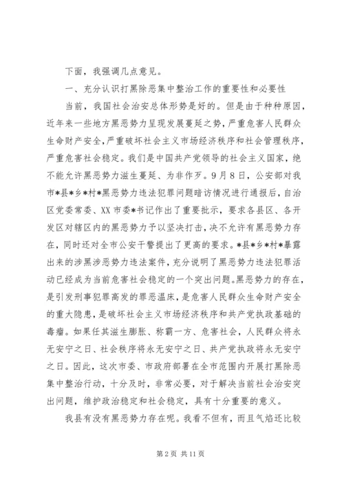 县领导在打黑除恶整治会议发言.docx