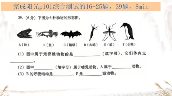 人教版七上2024第二单元复习课件(共20张PPT)