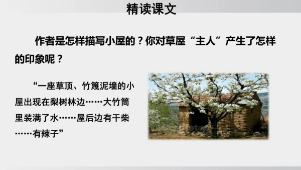 15 驿路梨花 课件