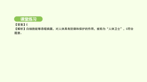 第四单元-第四章-第一节-流动的组织——血液课件-2024-2025学年七年级生物下学期人教版(20