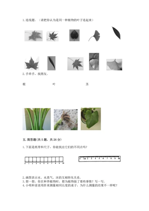 教科版一年级上册科学期末测试卷带答案（培优b卷）.docx