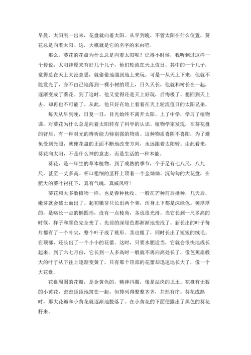 关于说明文花作文锦集8篇.docx