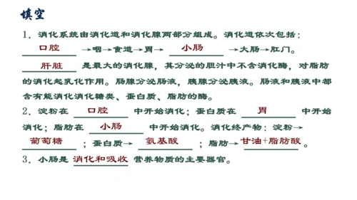 人教版（新课程标准）七年级下册4.2.2 消化和吸收课件(共22张PPT)