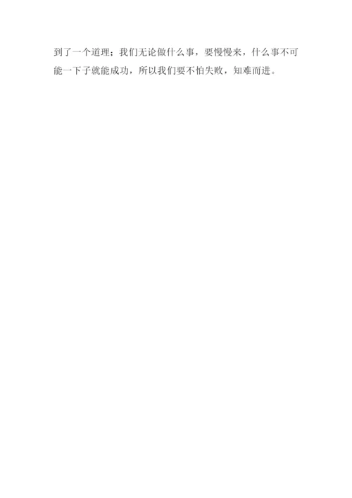 我成功了作文500字-1.docx
