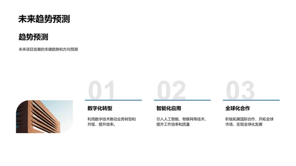 项目年度总结报告