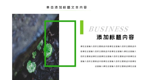 唯美绿色植物发芽植物生长敬畏生命PPT模板
