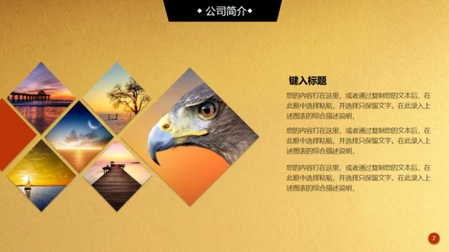 金色背景创业融资商业计划书通用PPT模板