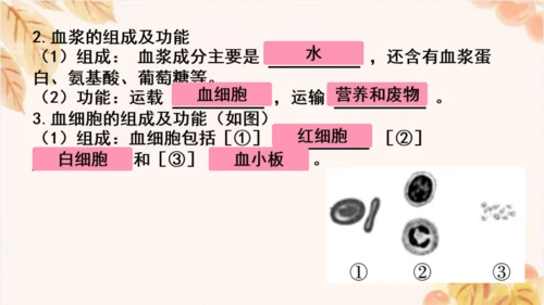 第四单元第四章人体内物质的运输 复习课件(共23张PPT)人教版七年级下册