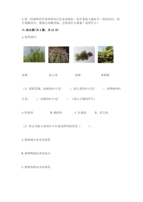 教科版科学四年级下册第一单元《植物的生长变化》测试卷【名师系列】.docx