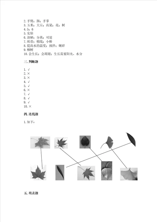 教科版科学一年级上册期末测试卷典型题word版