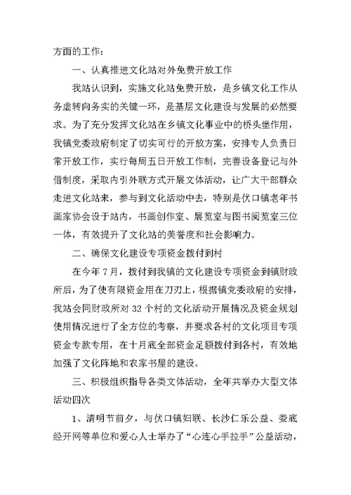 文化站个人工作总结精选范本