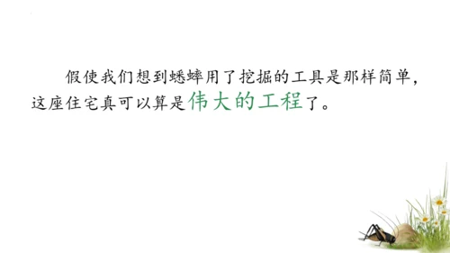 11 蟋蟀的住宅（课件）