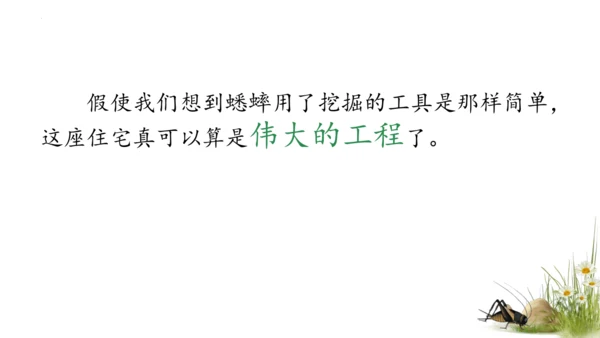 11 蟋蟀的住宅（课件）